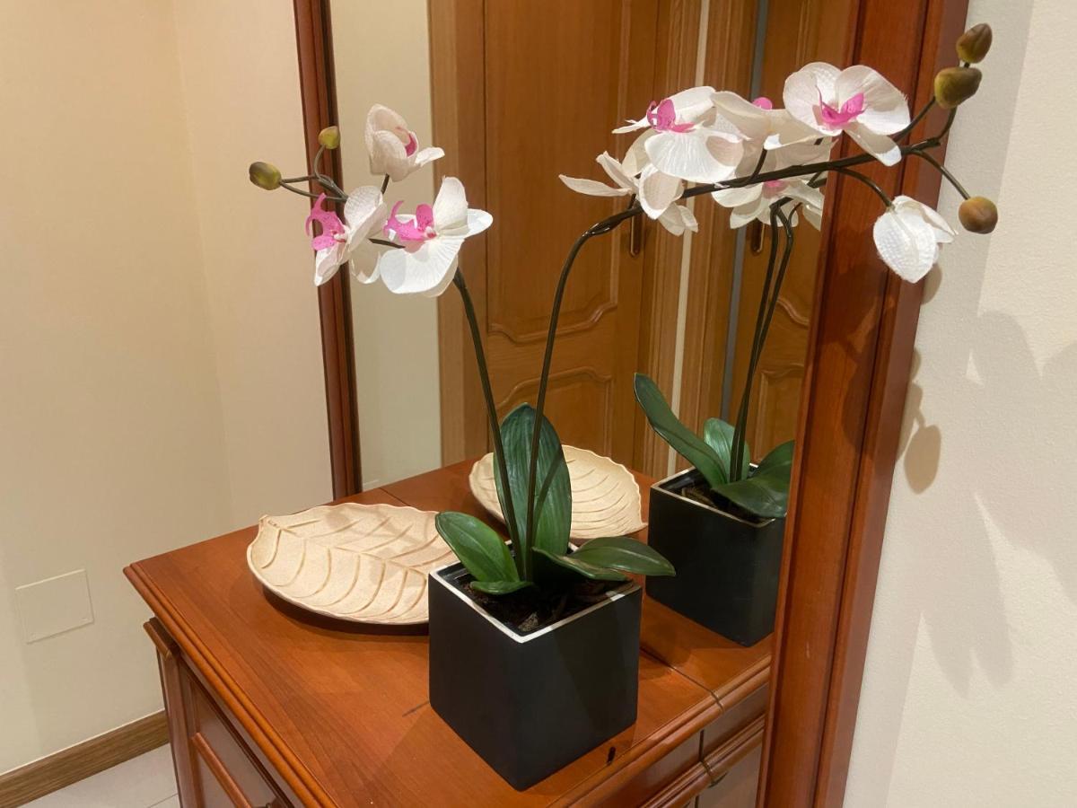 Apartamento Funcional Lalin-Centro Экстерьер фото
